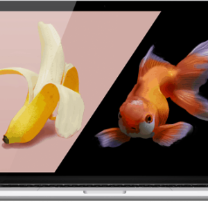 GalleryExhibitCustomFurniture